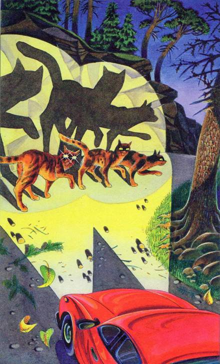 Секреты племен Секреты племен