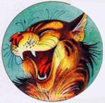 Секреты племен Секреты племен