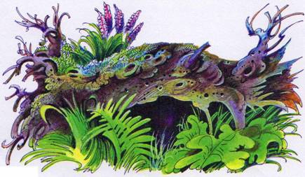 Секреты племен Секреты племен