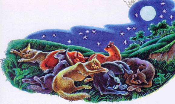 Секреты племен Секреты племен