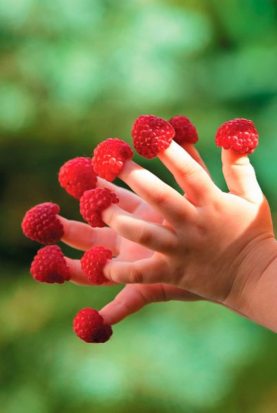 Теперь я ем все, что хочу! Система питания Давида Яна Теперь я ем все, что хочу! Система питания Давида Яна