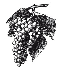 365 рецептов на каждый день