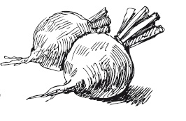 365 рецептов на каждый день 365 рецептов на каждый день