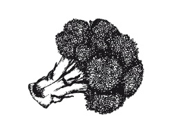 365 рецептов на каждый день 365 рецептов на каждый день