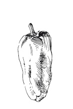 365 рецептов на каждый день 365 рецептов на каждый день