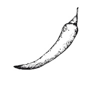 365 рецептов на каждый день 365 рецептов на каждый день