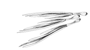 365 рецептов на каждый день 365 рецептов на каждый день