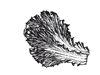 365 рецептов на каждый день 365 рецептов на каждый день