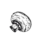 365 рецептов на каждый день 365 рецептов на каждый день