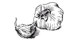 365 рецептов на каждый день 365 рецептов на каждый день