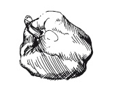 365 рецептов на каждый день 365 рецептов на каждый день