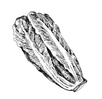 365 рецептов на каждый день 365 рецептов на каждый день