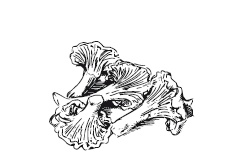 365 рецептов на каждый день 365 рецептов на каждый день