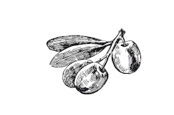 365 рецептов на каждый день 365 рецептов на каждый день