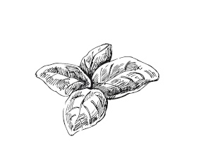 365 рецептов на каждый день 365 рецептов на каждый день