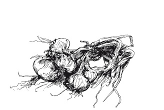 365 рецептов на каждый день 365 рецептов на каждый день