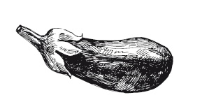 365 рецептов на каждый день 365 рецептов на каждый день