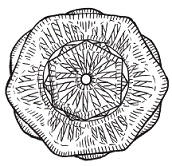 Вязаные модные аксессуары. Сумочки, ремни, перчатки, шарфы