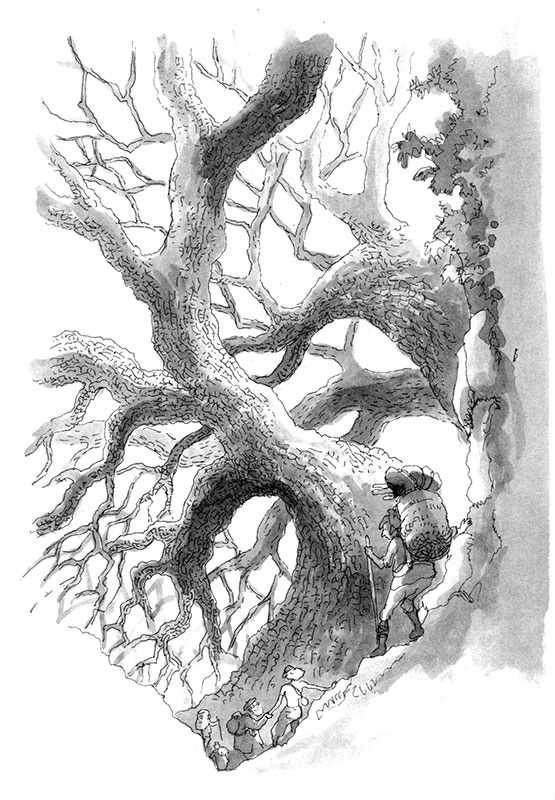 Тоби Лолнесс. Книга 1. На волосок от гибели Тоби Лолнесс. Книга 1. На волосок от гибели