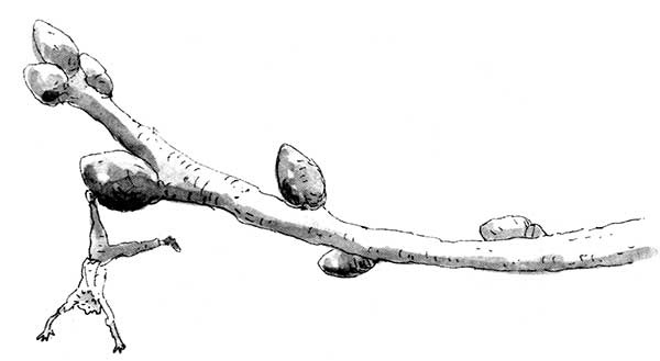 Тоби Лолнесс. Книга 1. На волосок от гибели Тоби Лолнесс. Книга 1. На волосок от гибели