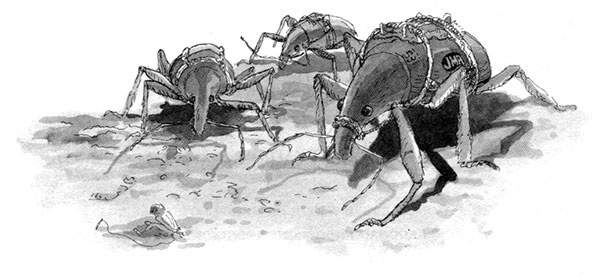 Тоби Лолнесс. Книга 1. На волосок от гибели Тоби Лолнесс. Книга 1. На волосок от гибели