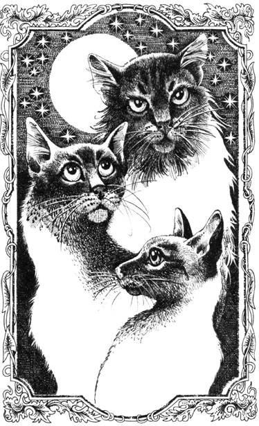 Нерассказанные истории. История Остролистой Нерассказанные истории. История Остролистой