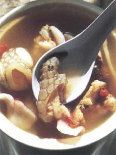 Экстремальная кухня. Причудливые и удивительные блюда, которые едят люди Экстремальная кухня. Причудливые и удивительные блюда, которые едят люди