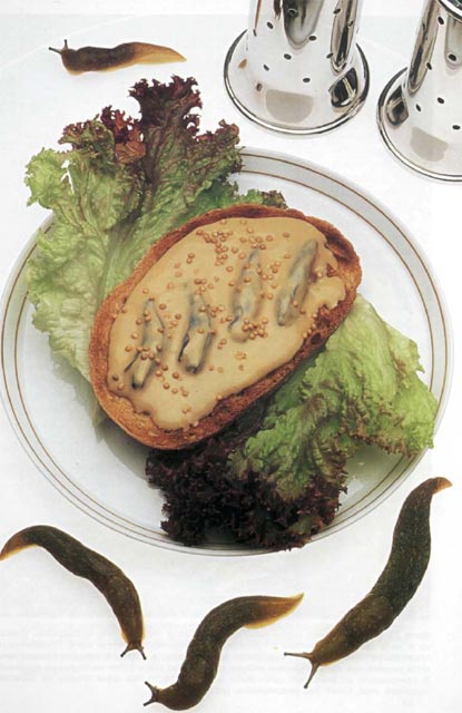 Экстремальная кухня. Причудливые и удивительные блюда, которые едят люди Экстремальная кухня. Причудливые и удивительные блюда, которые едят люди