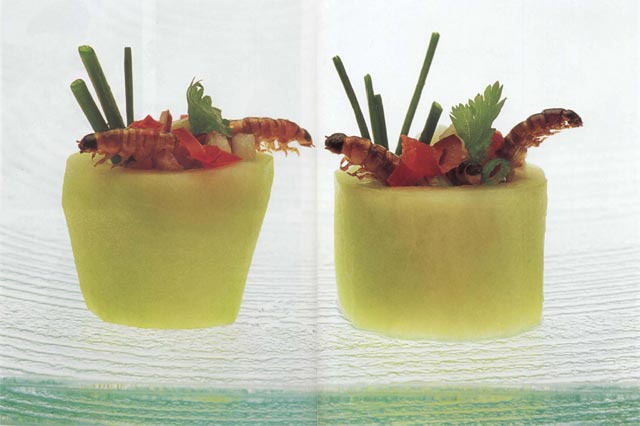 Экстремальная кухня. Причудливые и удивительные блюда, которые едят люди Экстремальная кухня. Причудливые и удивительные блюда, которые едят люди