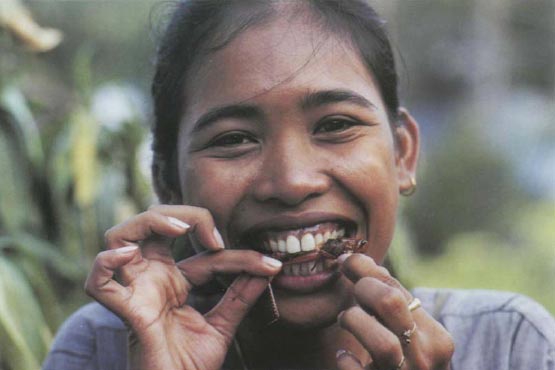 Экстремальная кухня. Причудливые и удивительные блюда, которые едят люди Экстремальная кухня. Причудливые и удивительные блюда, которые едят люди