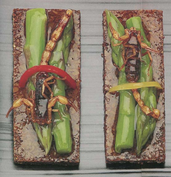 Экстремальная кухня. Причудливые и удивительные блюда, которые едят люди Экстремальная кухня. Причудливые и удивительные блюда, которые едят люди