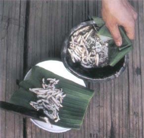 Экстремальная кухня. Причудливые и удивительные блюда, которые едят люди Экстремальная кухня. Причудливые и удивительные блюда, которые едят люди