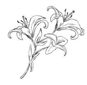 Все бабы как бабы, а я - дура на миллион Все бабы как бабы, а я - дура на миллион