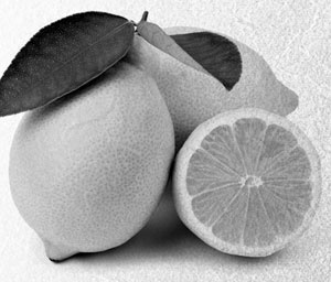 Советское домоводство Советское домоводство