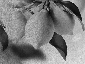 Советское домоводство Советское домоводство