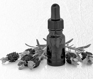 Советское домоводство Советское домоводство