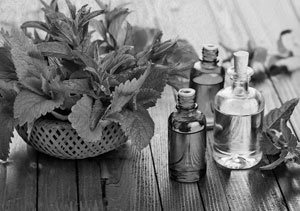 Советское домоводство Советское домоводство