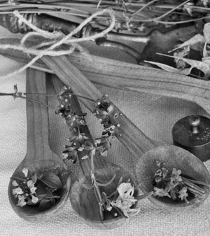 Советское домоводство Советское домоводство