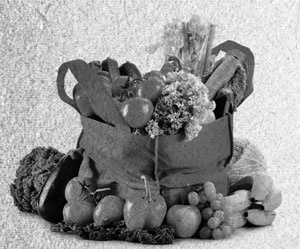 Советское домоводство Советское домоводство