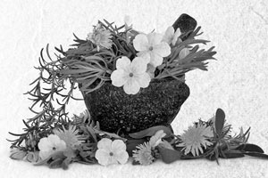 Советское домоводство Советское домоводство