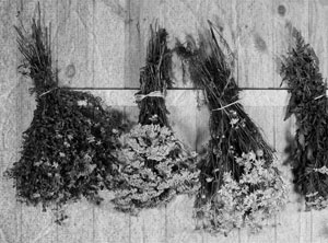 Советское домоводство Советское домоводство