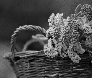 Советское домоводство Советское домоводство