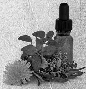 Советское домоводство Советское домоводство