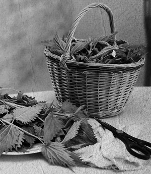 Советское домоводство Советское домоводство