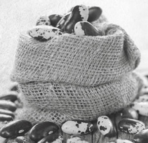 Советское домоводство Советское домоводство