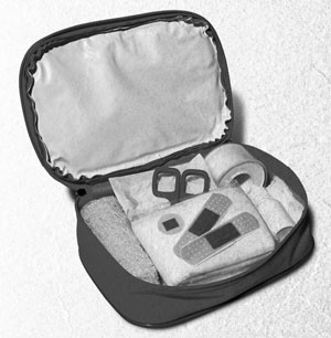 Советское домоводство