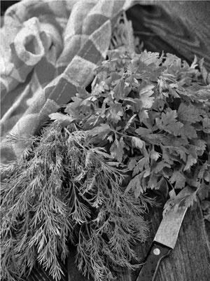 Советское домоводство Советское домоводство