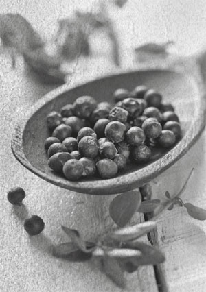 Советское домоводство Советское домоводство