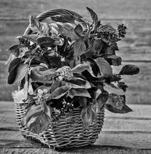 Советское домоводство Советское домоводство