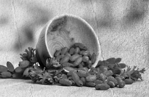 Советское домоводство Советское домоводство